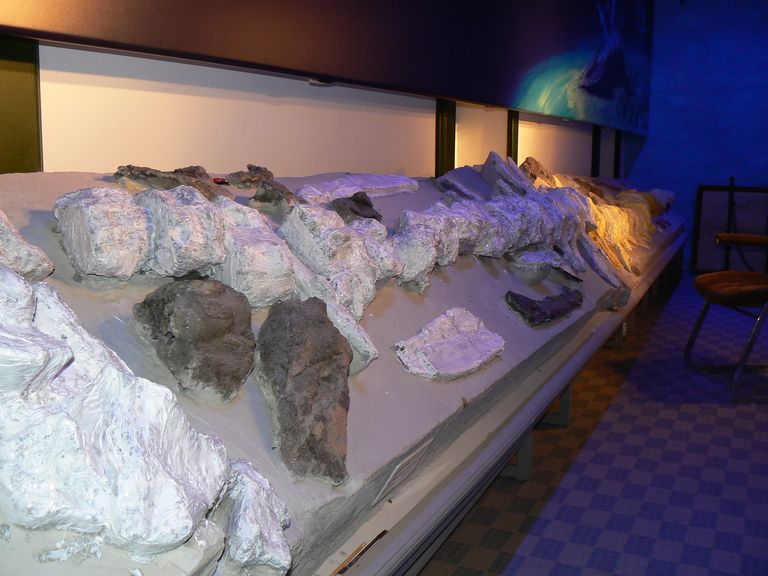 Festa scuola Ale 071